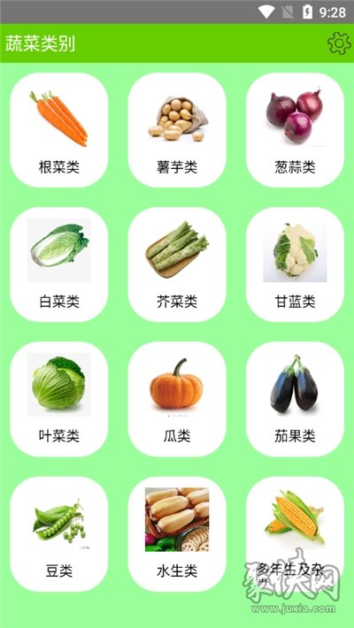 蔬菜百科书大全