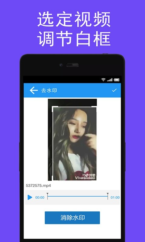视频去水印截图