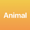 Animal_Plus