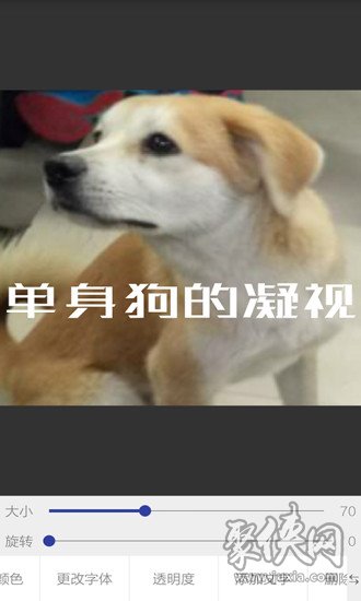 图片加文字