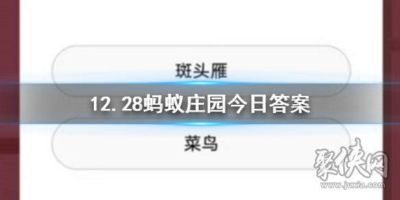 蚂蚁庄园12月28日今日答案 今日答案是什么