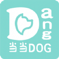 當(dāng)當(dāng)DOG