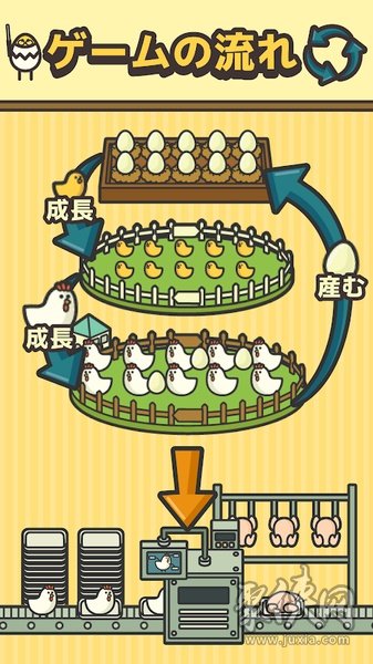 雞蛋小雞工廠