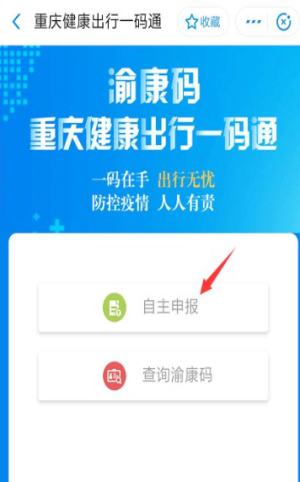 渝康碼截圖