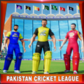 年巴基斯坦板球杯