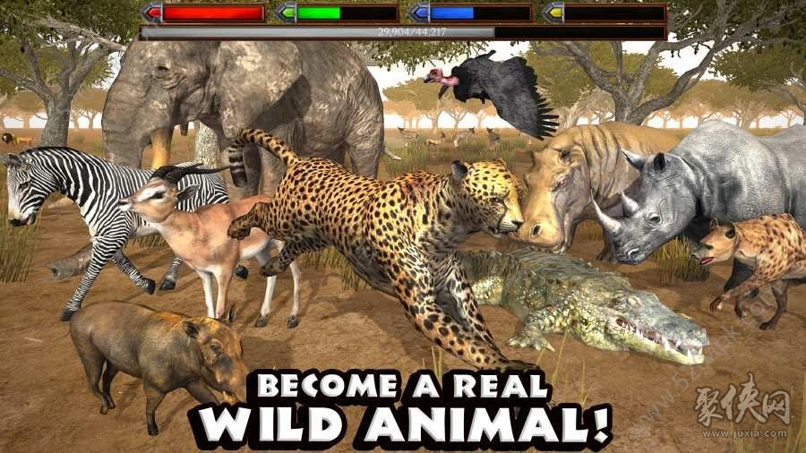 Animal Kingdom Games_Animal Kingdom Games_Animal Kingdom Gameplay