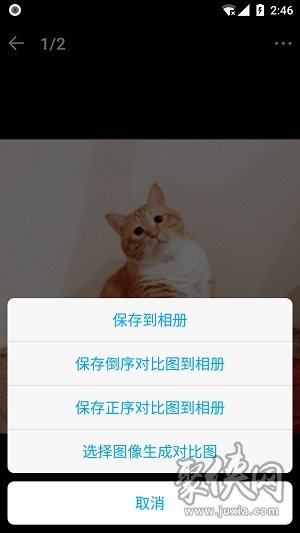 猫咪记账本