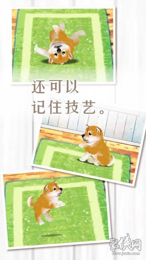 养育柴犬的治愈游戏