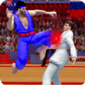 Karate Fighting(˫ֵϷ)v2.4.9 ׿