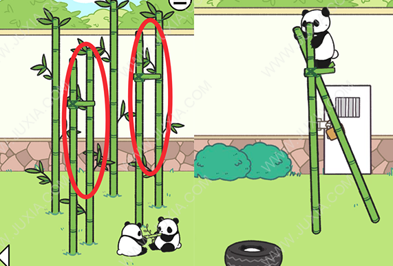熊猫永不为奴19关怎么过 熊猫永不为奴攻略十九关