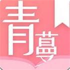 青蔓煙閣最新版