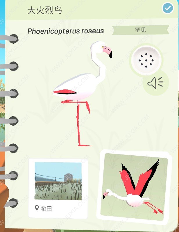 Alba攻略大火烈鳥位置怎么找 阿爾芭與野生動物的故事攻略大火烈鳥位置詳解全分析