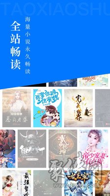 淘小說app