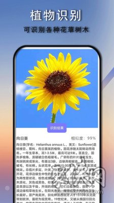 拍照识别免费版