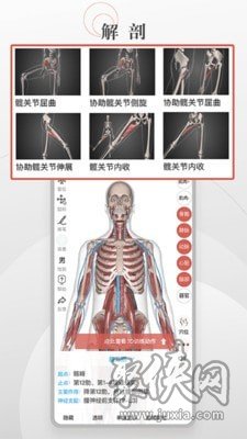 3D運(yùn)動(dòng)健康