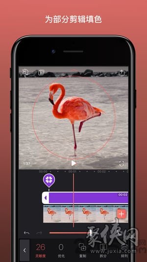 Videoleapapp