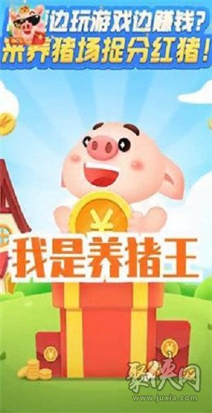 我是養(yǎng)豬王