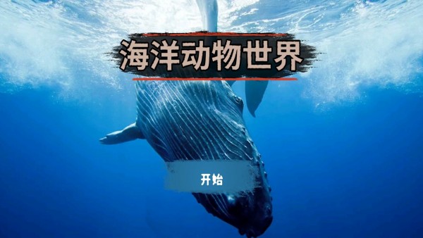 海洋動物世界截圖