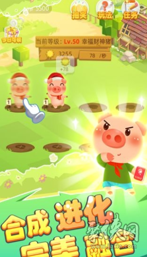 全民养猪猪