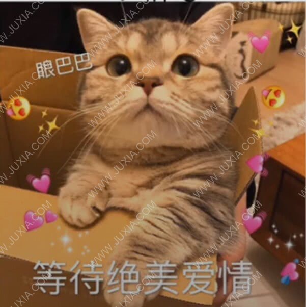 猫郎乐园 猫猫：如果我是小哥哥你会爱我嘛