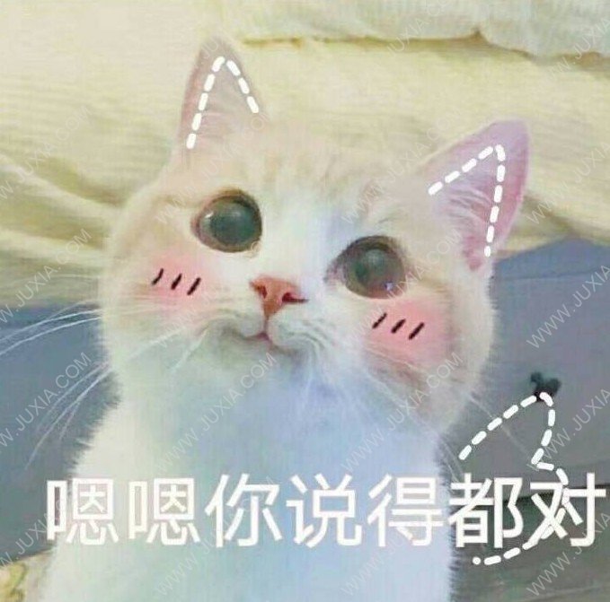 猫郎乐园 猫猫：如果我是小哥哥你会爱我嘛