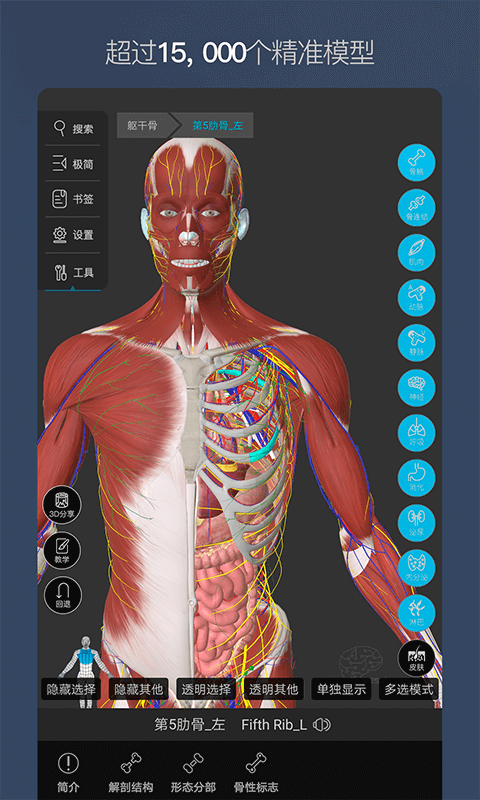 維薩里3d解剖app免費版下載-維薩里3d解剖最新版下載v5.4.0-聚俠網