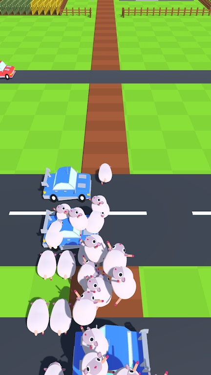 動物與道路