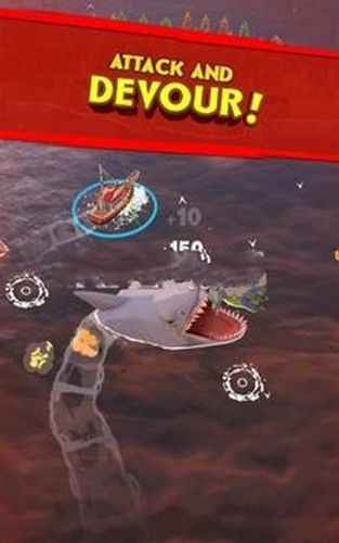 大白鲨大作战
