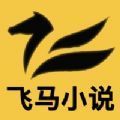 飛馬小說app