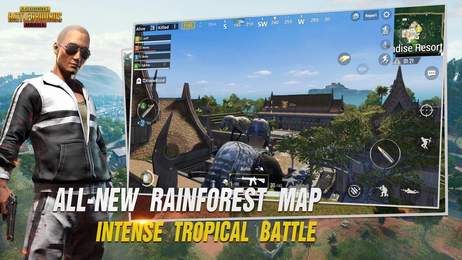 pubg冰墩墩辅助器