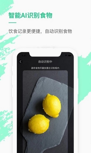 薄荷網(wǎng)