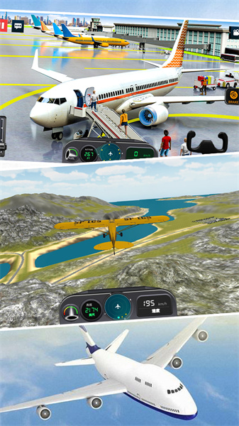 模擬真實飛機飛行截圖