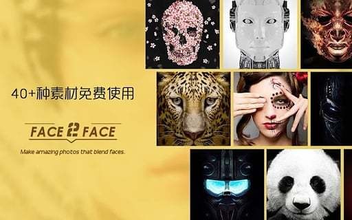 face2face中文版