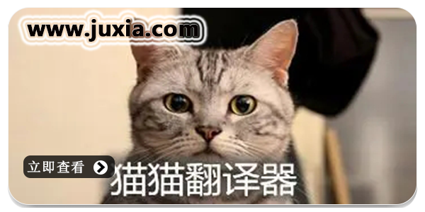 猫翻译器