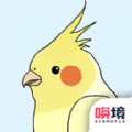 鳥(niǎo)巢