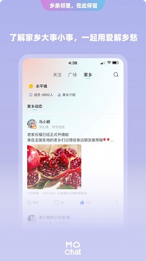 陌洽相親交友