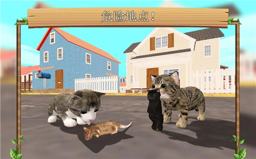 猫咪模拟器3d