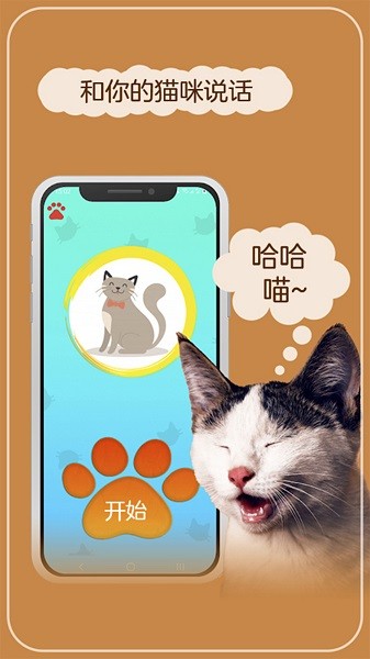 猫语翻译模拟器