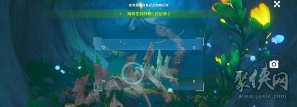 原神记录沉船与海底生物残骸位置 记录沉船与海底生物残骸在哪