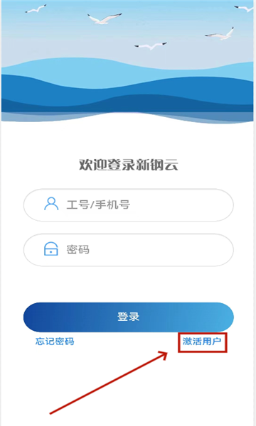 新鋼云app