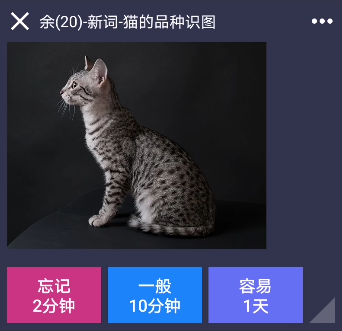 Anki记忆碎片