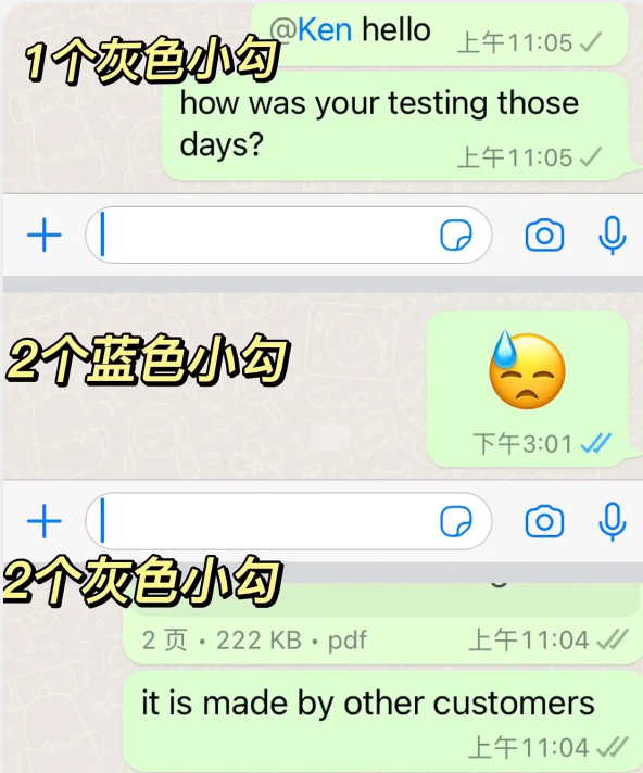 whatsapp官网版