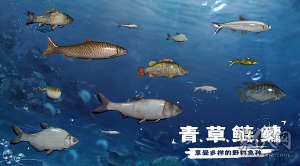 天天釣魚龍玉怎么刷 天天釣魚龍玉怎么快速獲得