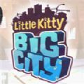 little kitty big city