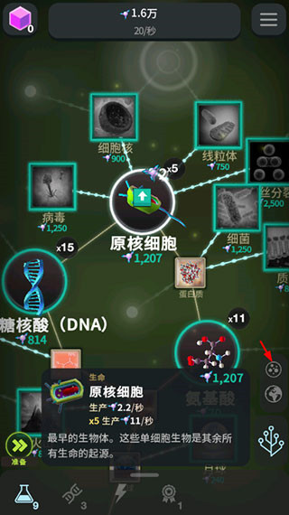 从细胞到奇点进化永无止境最新版