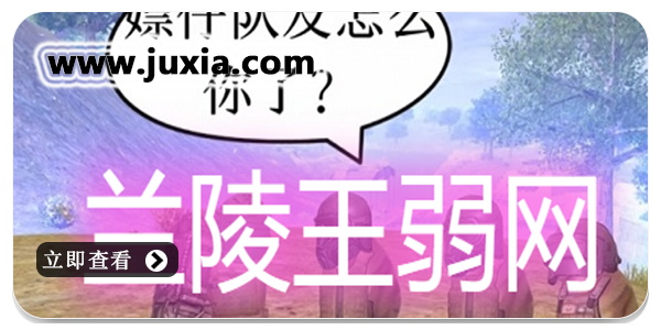 兰陵王弱网参数下载-兰陵王弱网app官方版下载-兰陵王弱网下载最新版