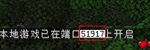 fcl啟動器2024獲取端口號教程