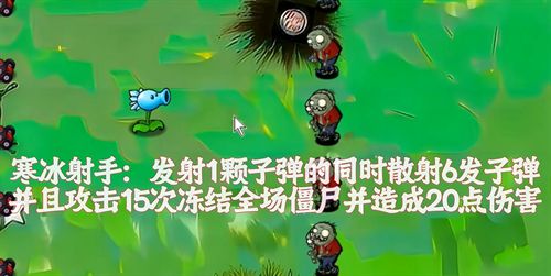 植物大戰(zhàn)僵尸風(fēng)韻版