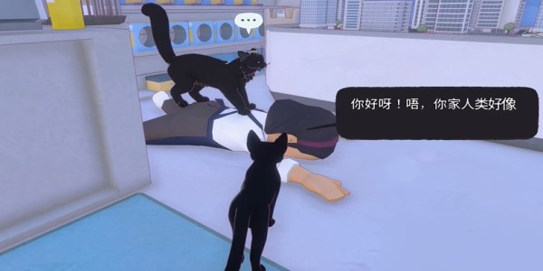 小猫咪大城市最新版2024