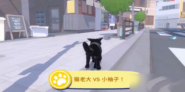 小貓咪大城市最新版2024